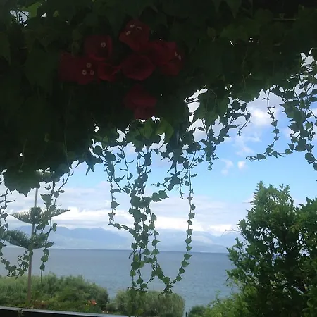 索菲亚别墅公寓 * 克拉尼