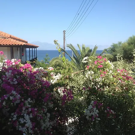 索菲亚别墅公寓 *