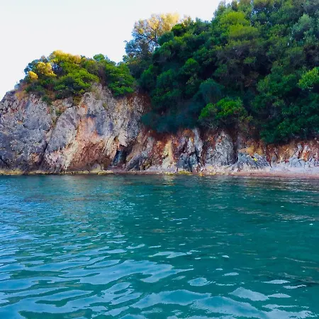 公寓 索菲亚别墅公寓 *