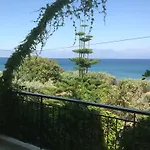 Sofia Χράνοι