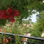 Sofia * Χράνοι