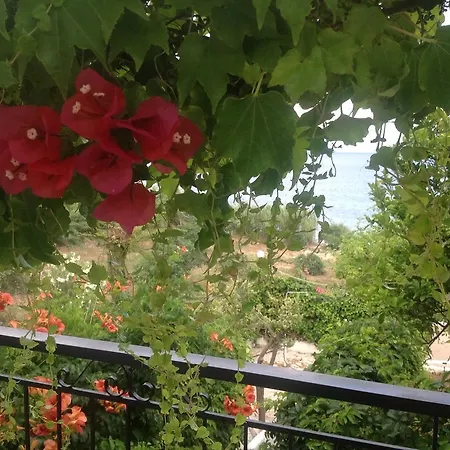 Sofia * Chrani