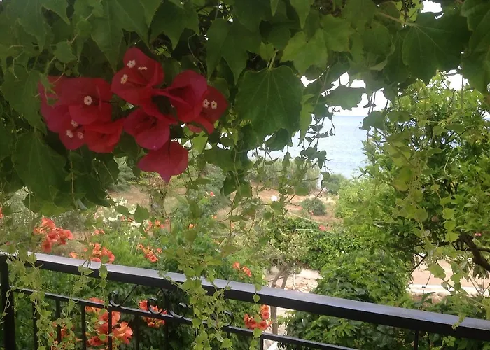 Sofia * Chrani