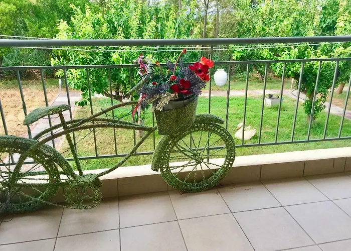 Sofia * Chrani
